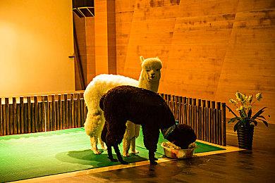 NHK《游戏基因组》将于1月23日播出 《死亡搁浅》未公开对话加长版特集